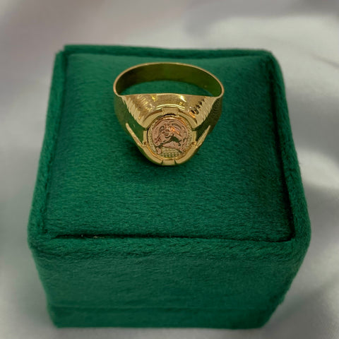 Anillo Caballo Oro amarillo y Oro rosa 18k / Talla 11 / 4,02 Gr *
